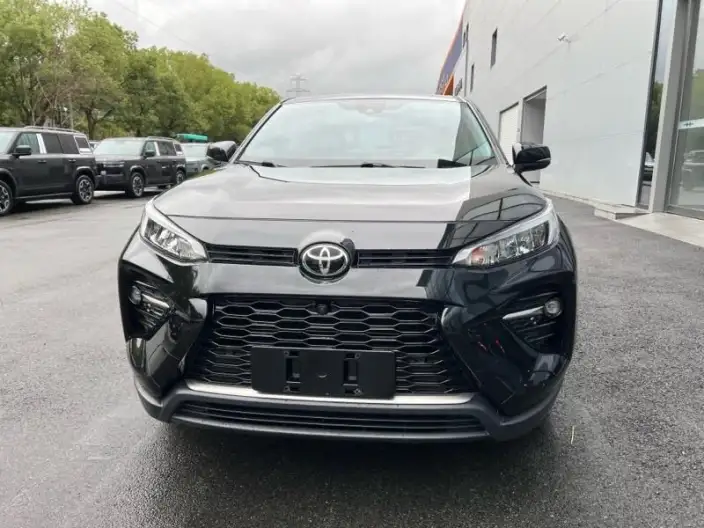 Toyota Wildlander 2020 Model 2.0L 2WD Leading version