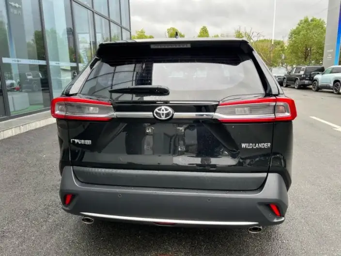 Toyota Wildlander 2020 Model 2.0L 2WD Leading version – фото 5