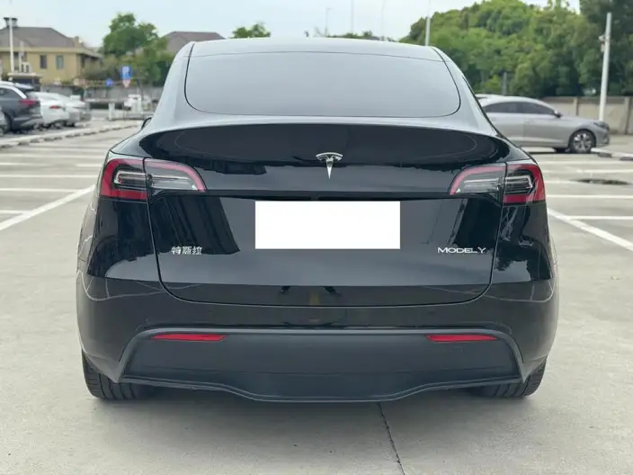 Model Y 2023 Model Rear-wheel drive version – фото 5