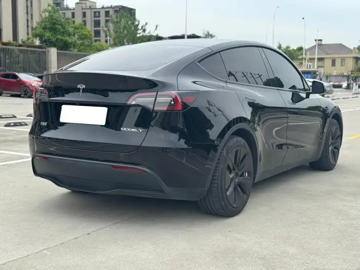 Model Y 2023 Model Rear-wheel drive version – фото 6