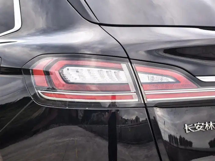 Nautilus 2021 Model 2.0T 4WD Exclusive Edition – фото 9