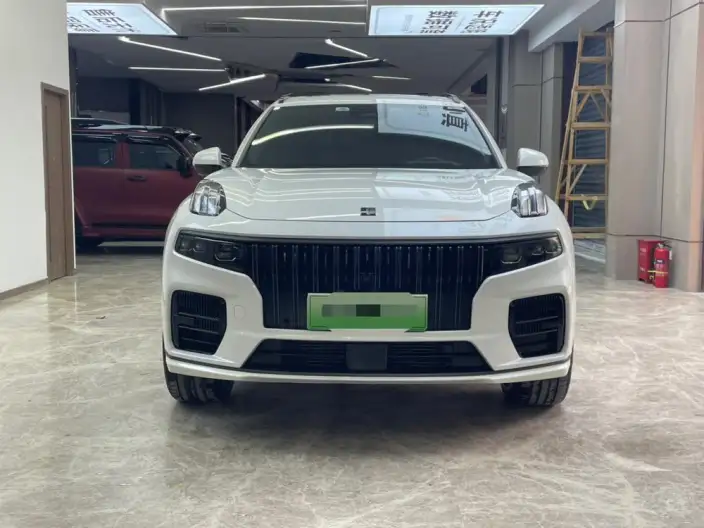 Lynk & Co 09 EM-P 2021 Model 2.0TD Performance version VII seat Halo