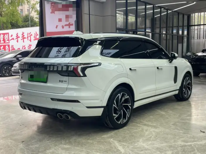Lynk & Co 09 EM-P 2021 Model 2.0TD Performance version VII seat Halo – фото 7