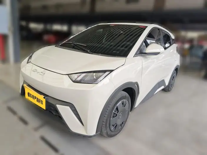 BYD Seagull 2024 Model Honor Edition 305KM Vitality Edition – фото 1