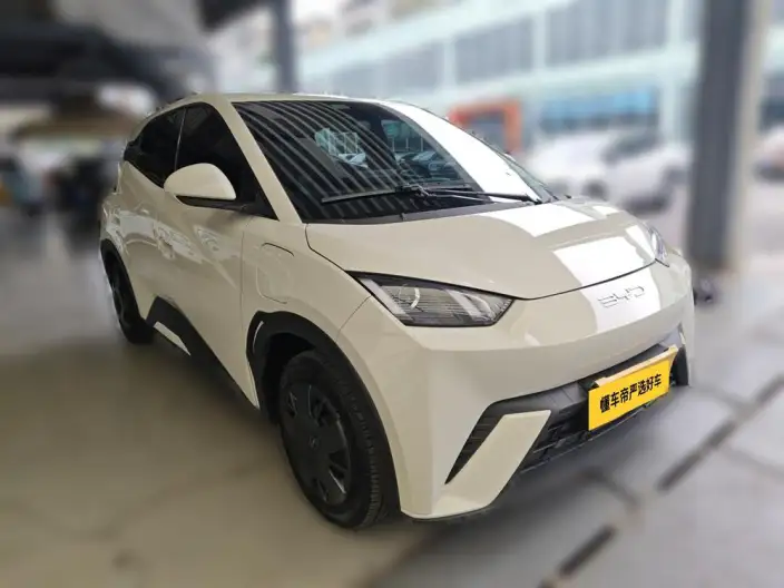 BYD Seagull 2024 Model Honor Edition 305KM Vitality Edition – фото 2