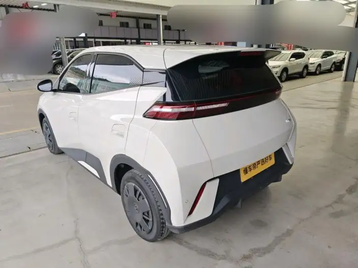 BYD Seagull 2024 Model Honor Edition 305KM Vitality Edition – фото 3