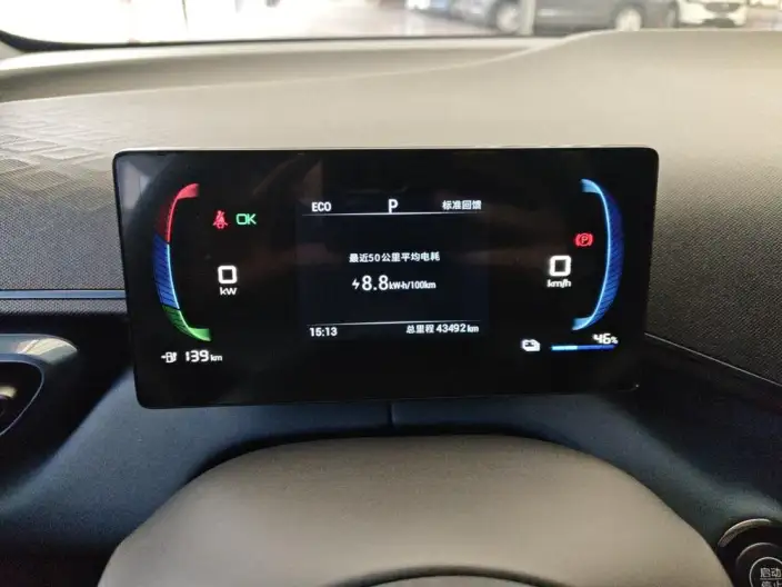 BYD Seagull 2024 Model Honor Edition 305KM Vitality Edition – фото 8