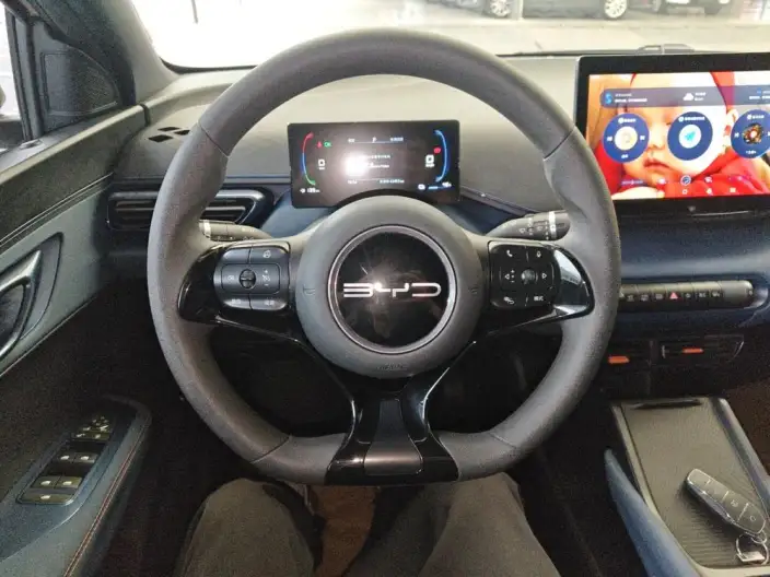 BYD Seagull 2024 Model Honor Edition 305KM Vitality Edition – фото 9