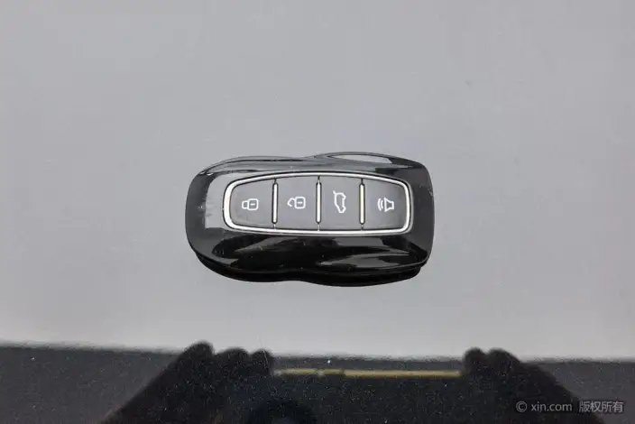 Lingyu 2021 Model EcoBoost 225 7 seat Zun Ling Model Plus – фото 6