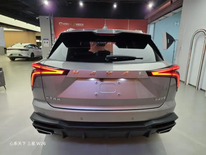 Haval Shenshou 2021 Model 1.5T Zhizun Edition – фото 5