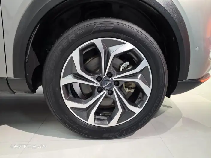 Haval Shenshou 2021 Model 1.5T Zhizun Edition – фото 7