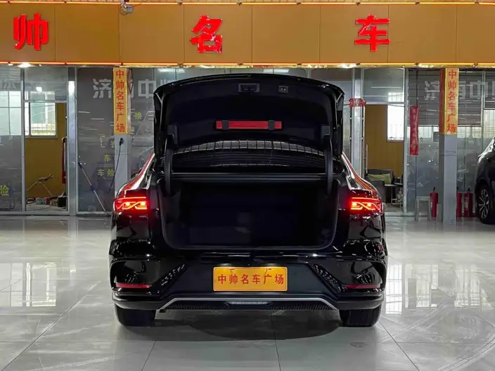 BYD Han DM 2024 Model DM-i Honor Edition 121KM Noble Model – фото 9