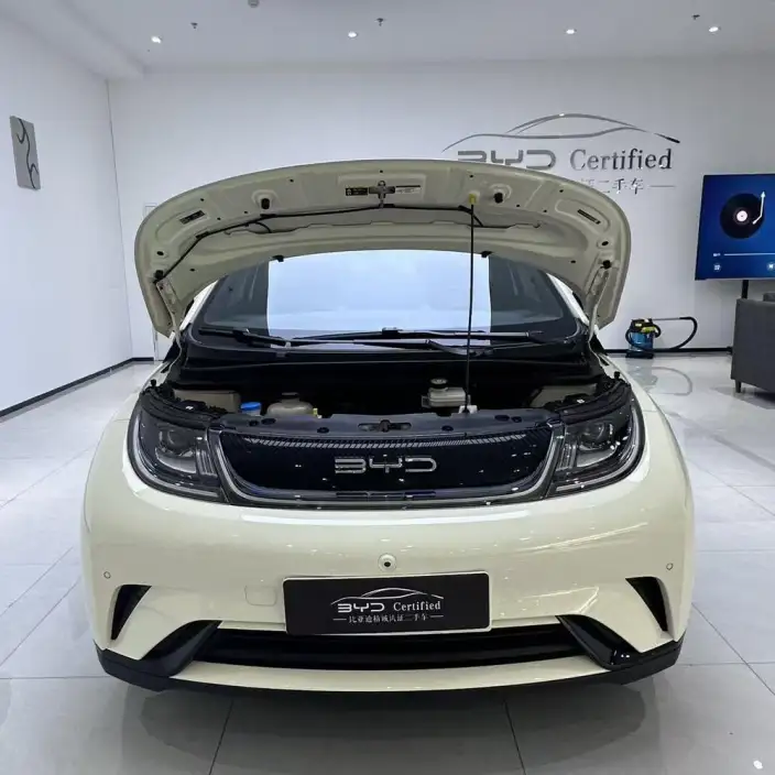 BYD Dolphin 2023 Model Fashion Edition – фото 2