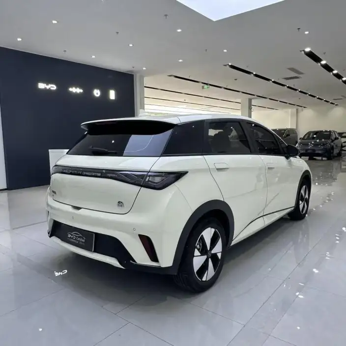 BYD Dolphin 2023 Model Fashion Edition – фото 5