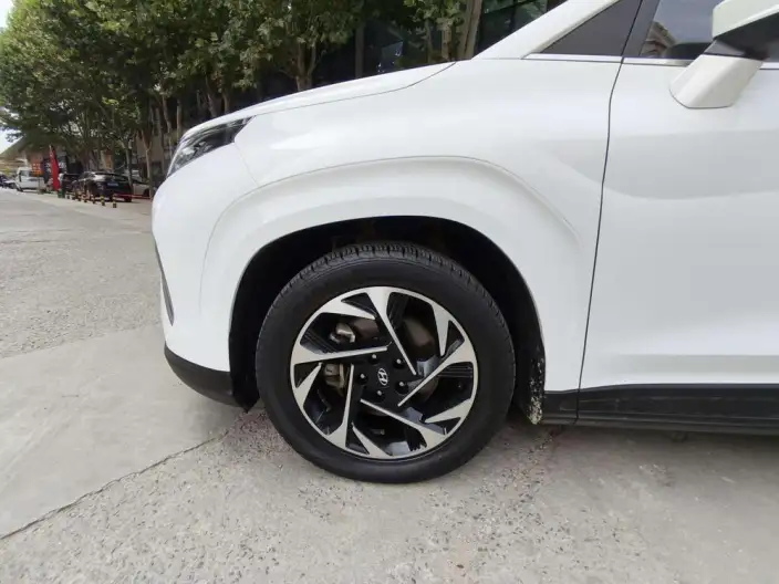 Hyundai Custin 2021 Model 380TGDi Deluxe Edition DLX – фото 9