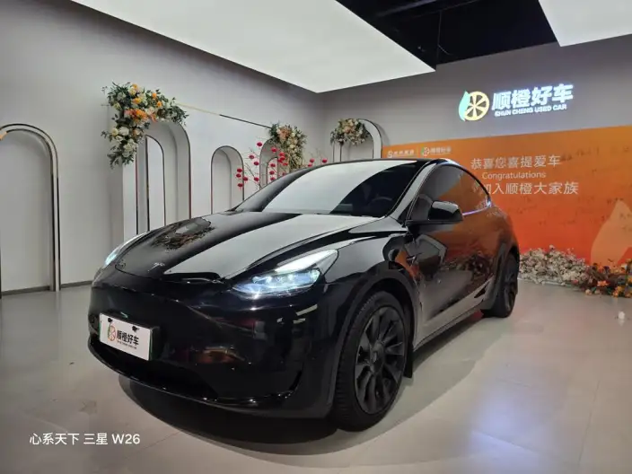 Model Y 2022 Model Facelift Rear-wheel drive version – фото 1