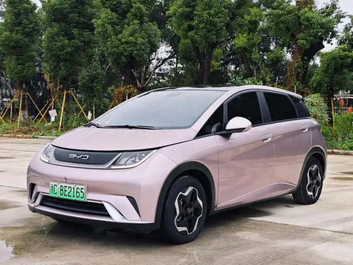 BYD Dolphin 2021 Model Free Edition – фото 1