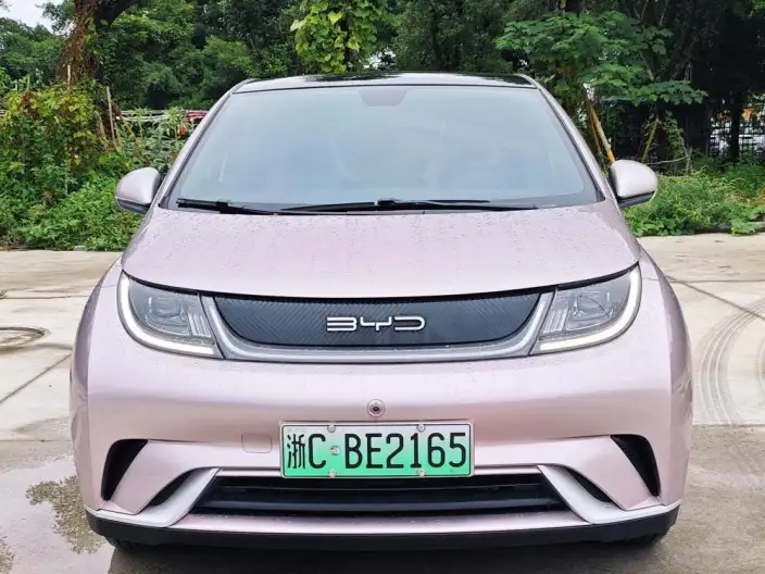 BYD Dolphin 2021 Model Free Edition – фото 2