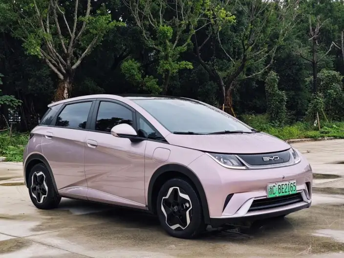 BYD Dolphin 2021 Model Free Edition – фото 3