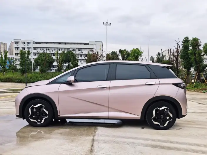BYD Dolphin 2021 Model Free Edition – фото 4