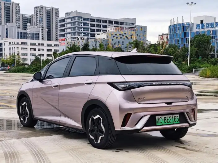 BYD Dolphin 2021 Model Free Edition – фото 5