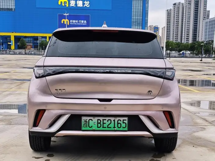 BYD Dolphin 2021 Model Free Edition – фото 6