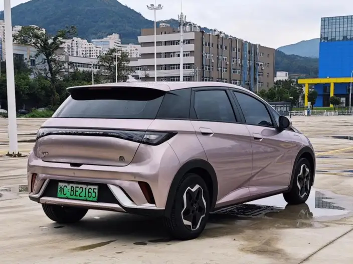 BYD Dolphin 2021 Model Free Edition – фото 7