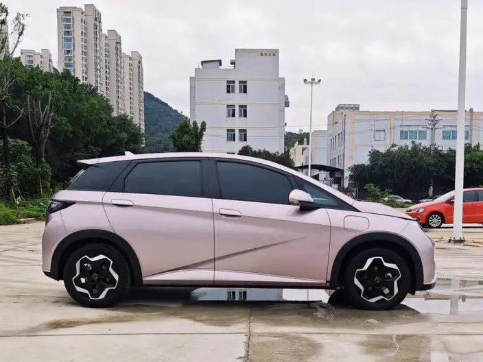 BYD Dolphin 2021 Model Free Edition – фото 8