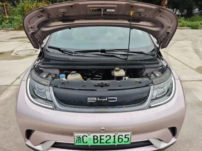 BYD Dolphin 2021 Model Free Edition – фото 9