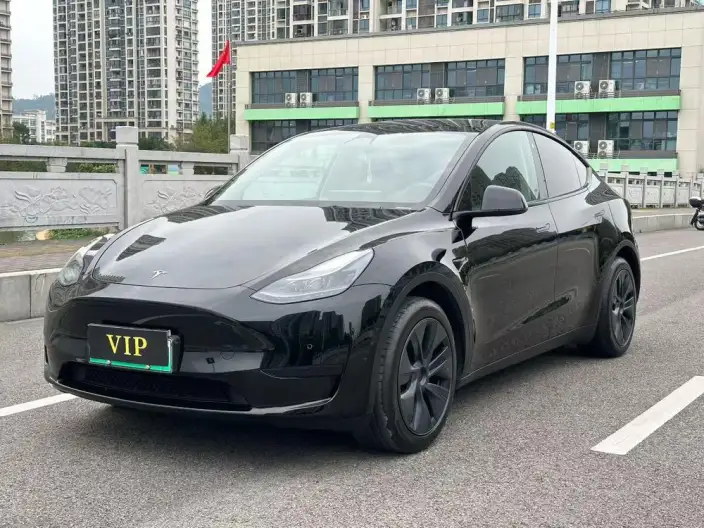 Model Y 2023 Model Rear-wheel drive version – фото 1
