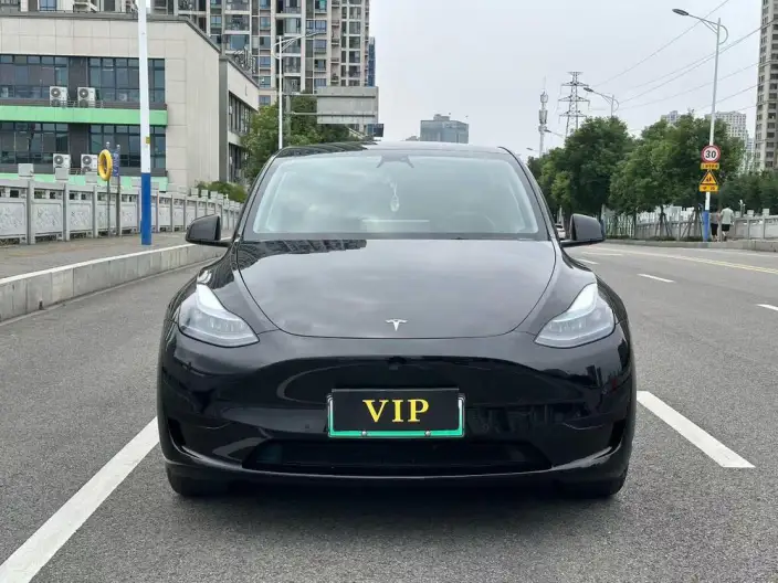Model Y 2023 Model Rear-wheel drive version – фото 2