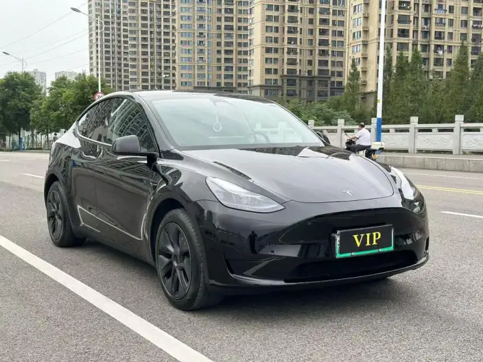 Model Y 2023 Model Rear-wheel drive version – фото 3