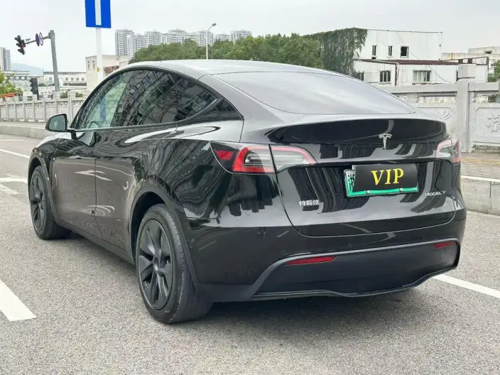 Model Y 2023 Model Rear-wheel drive version – фото 4