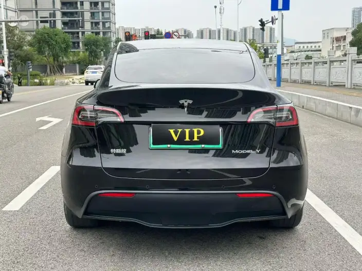 Model Y 2023 Model Rear-wheel drive version – фото 5