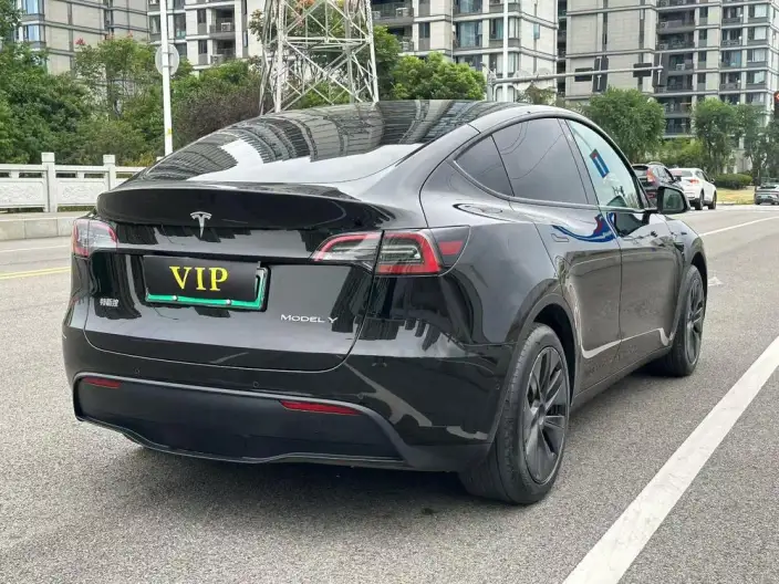 Model Y 2023 Model Rear-wheel drive version – фото 6
