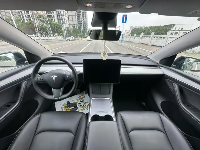 Model Y 2023 Model Rear-wheel drive version – фото 7