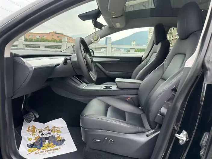 Model Y 2023 Model Rear-wheel drive version – фото 8