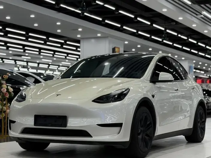 Model Y 2024 Model Rear-wheel drive version – фото 1