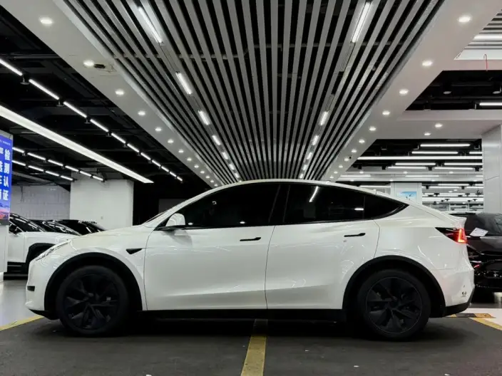 Model Y 2024 Model Rear-wheel drive version – фото 4