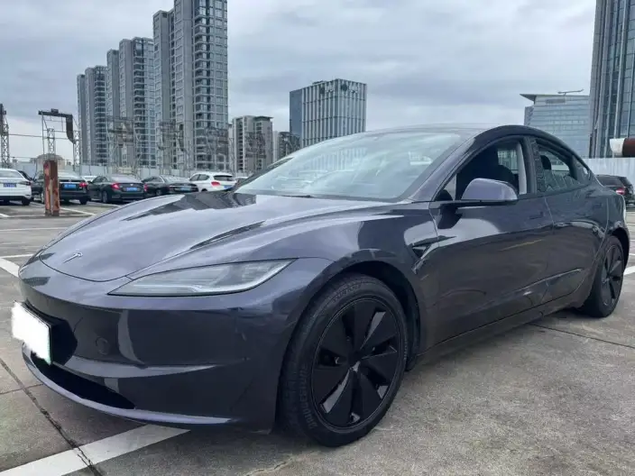 Model 3 2025 Model Long Battery Life Pro All-wheel drive version – фото 1