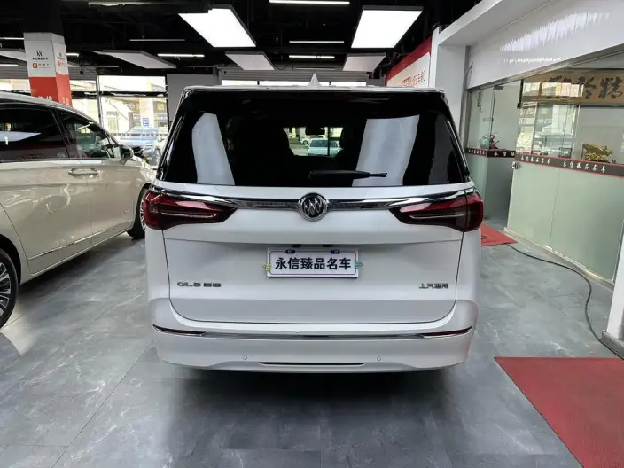 Buick GL8 2023 Model ES Luzun 2.0T Exclusive Model – фото 5