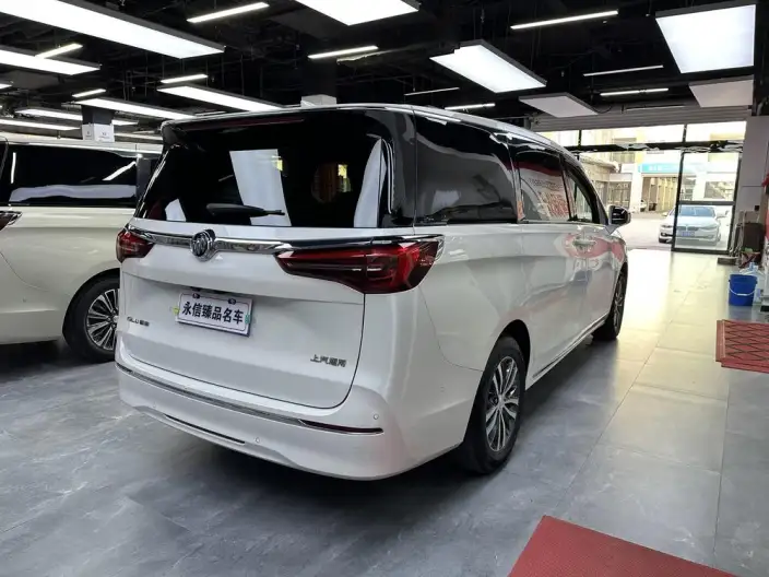 Buick GL8 2023 Model ES Luzun 2.0T Exclusive Model – фото 6