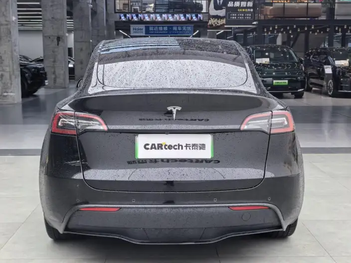 Model Y 2022 Model Rear-wheel drive version – фото 3