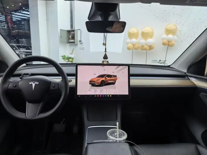 Model Y 2022 Model Rear-wheel drive version – фото 9