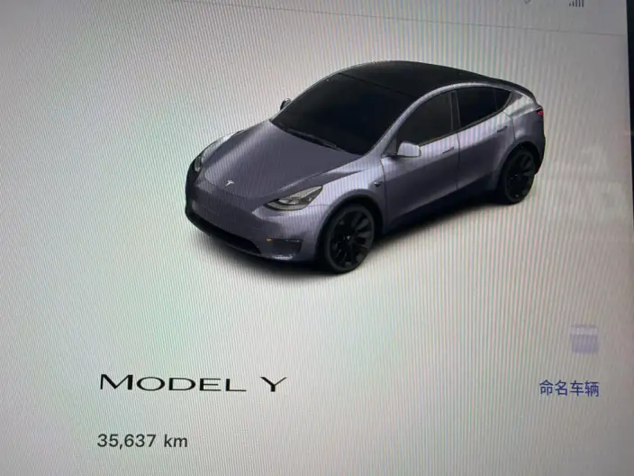 Model Y 2022 Model Rear-wheel drive version – фото 5