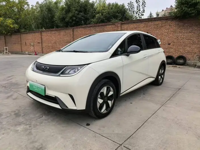 BYD Dolphin 2024 Model Honor Edition 420km Free Edition – фото 1