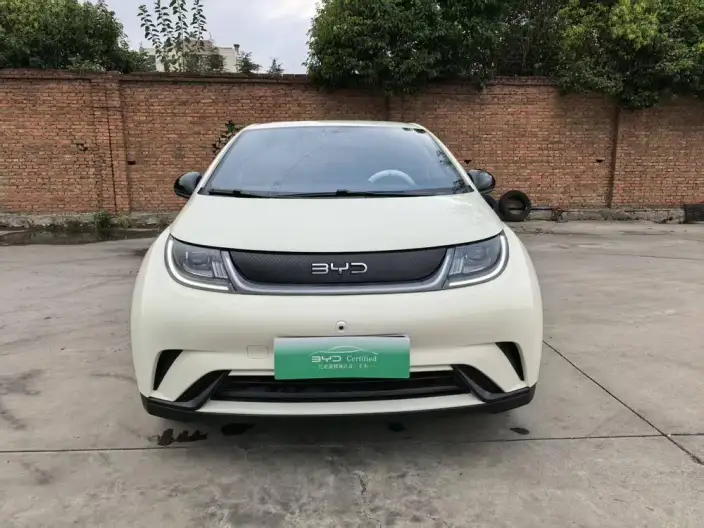 BYD Dolphin 2024 Model Honor Edition 420km Free Edition – фото 2