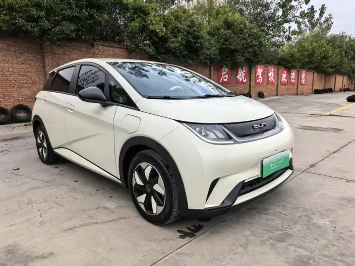 BYD Dolphin 2024 Model Honor Edition 420km Free Edition – фото 3