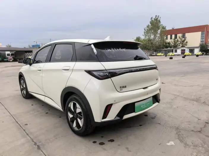 BYD Dolphin 2024 Model Honor Edition 420km Free Edition – фото 4