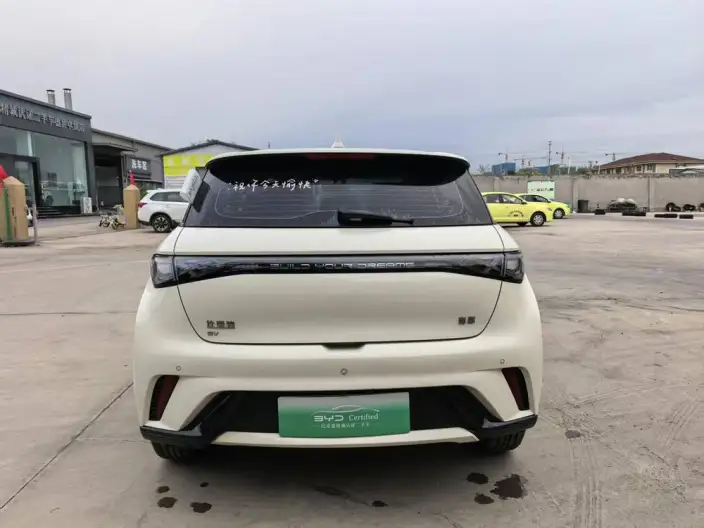 BYD Dolphin 2024 Model Honor Edition 420km Free Edition – фото 5